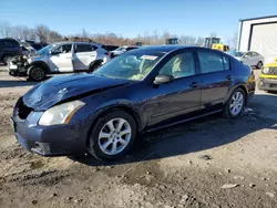 Salvage cars for sale from Copart Duryea, PA: 2007 Nissan Maxima SE