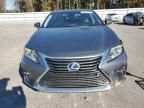 2016 Lexus ES 300H