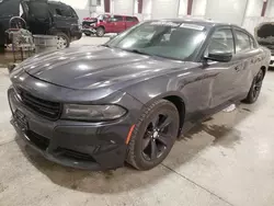 Salvage cars for sale at Avon, MN auction: 2017 Dodge Charger SXT