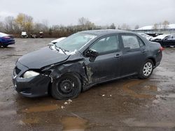 Salvage cars for sale at Columbia Station, OH auction: 2010 Toyota Corolla Base