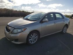 Salvage cars for sale at Kapolei, HI auction: 2010 Toyota Corolla Base