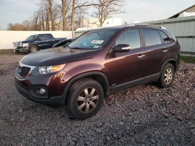 2011 KIA Sorento Base