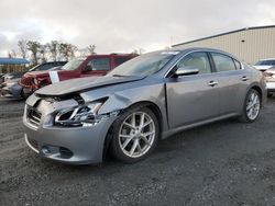 Salvage cars for sale at Spartanburg, SC auction: 2009 Nissan Maxima S