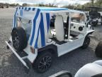 2021 Moke Cruiser