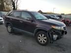 2011 KIA Sorento Base