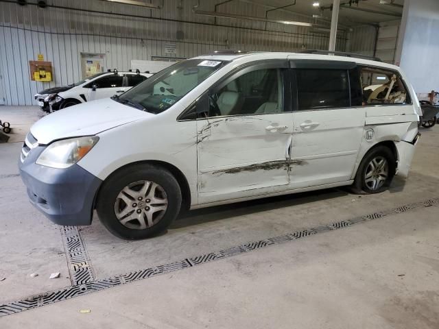 2005 Honda Odyssey EXL