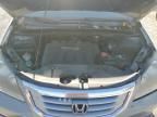 2008 Honda Odyssey EXL