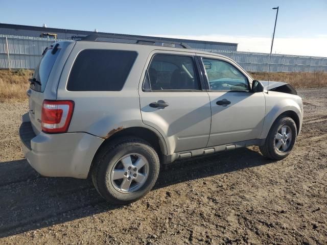 2009 Ford Escape XLT