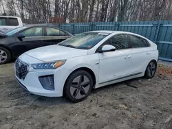 Salvage cars for sale at Candia, NH auction: 2020 Hyundai Ioniq SEL