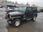 2001 Jeep Wrangler / TJ Sahara