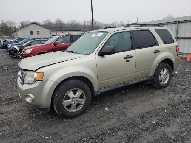 2011 Ford Escape XLT