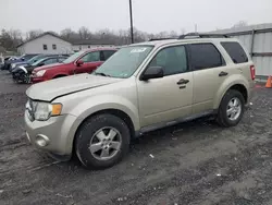 Ford salvage cars for sale: 2011 Ford Escape XLT