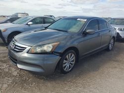 Honda salvage cars for sale: 2012 Honda Accord EX