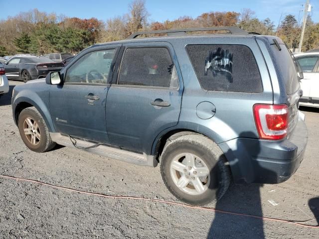 2010 Ford Escape Hybrid