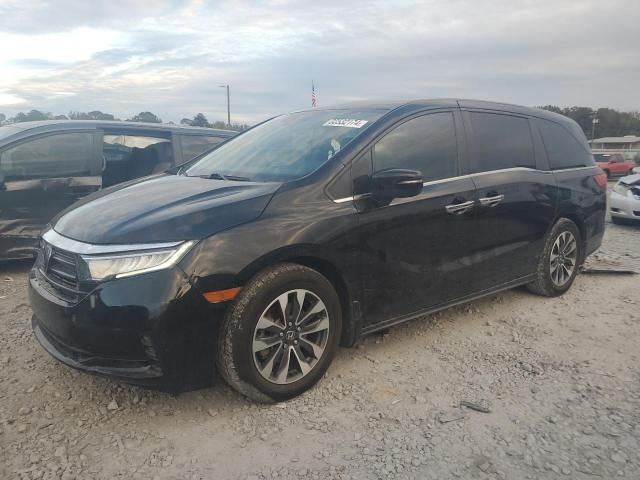 2022 Honda Odyssey EXL