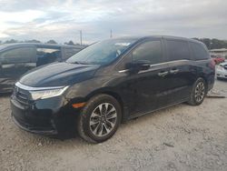 Salvage cars for sale at Montgomery, AL auction: 2022 Honda Odyssey EXL