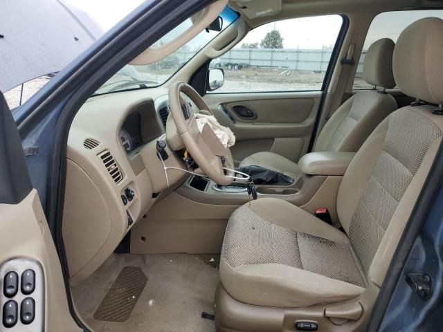 2005 Ford Escape XLT