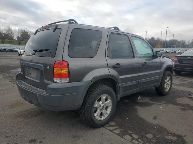 2005 Ford Escape XLT