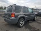 2005 Ford Escape XLT