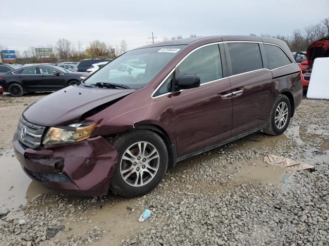 2011 Honda Odyssey EXL