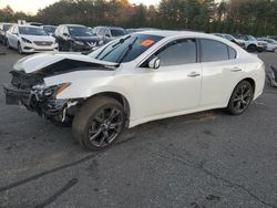 Nissan salvage cars for sale: 2014 Nissan Maxima S