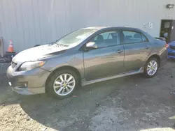 Salvage cars for sale at Seaford, DE auction: 2010 Toyota Corolla Base