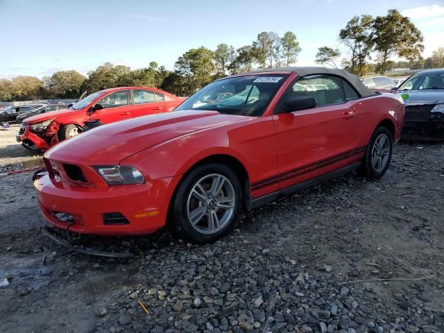 2010 Ford Mustang