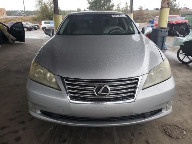 2010 Lexus ES 350