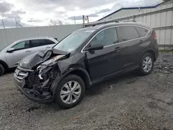 Honda cr-v exl salvage cars for sale: 2014 Honda CR-V EXL