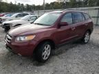 2007 Hyundai Santa FE SE