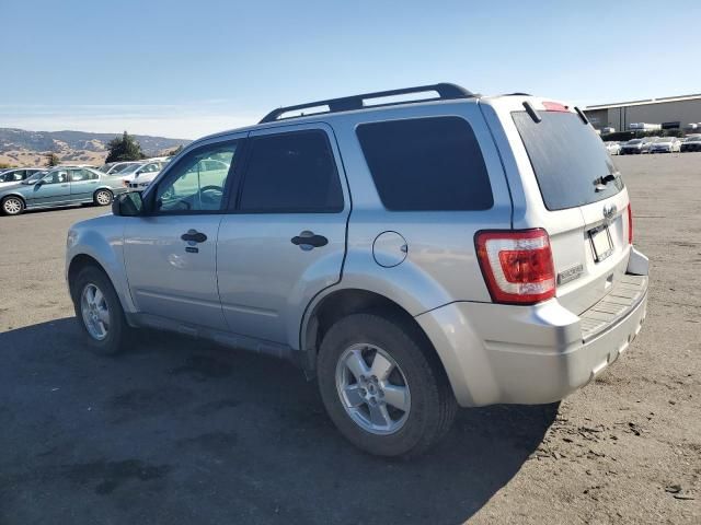 2011 Ford Escape XLT