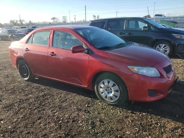 2010 Toyota Corolla Base