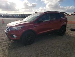 Carros salvage sin ofertas aún a la venta en subasta: 2019 Ford Escape SE