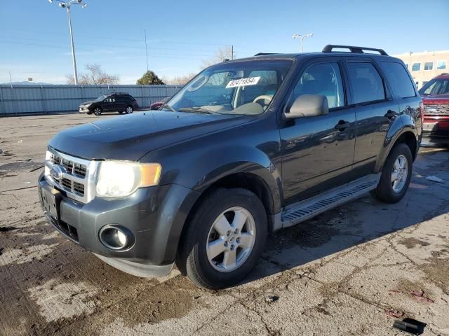 2009 Ford Escape XLT