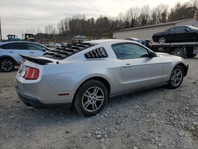 2010 Ford Mustang