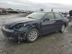 2003 Lexus ES 300 en venta en Eugene, OR