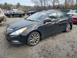 Salvage cars for sale at auction: 2013 Hyundai Sonata SE