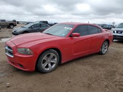 Dodge Vehiculos salvage en venta: 2013 Dodge Charger R/T