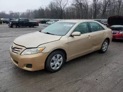 Toyota Vehiculos salvage en venta: 2010 Toyota Camry SE