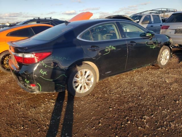 2013 Lexus ES 300H