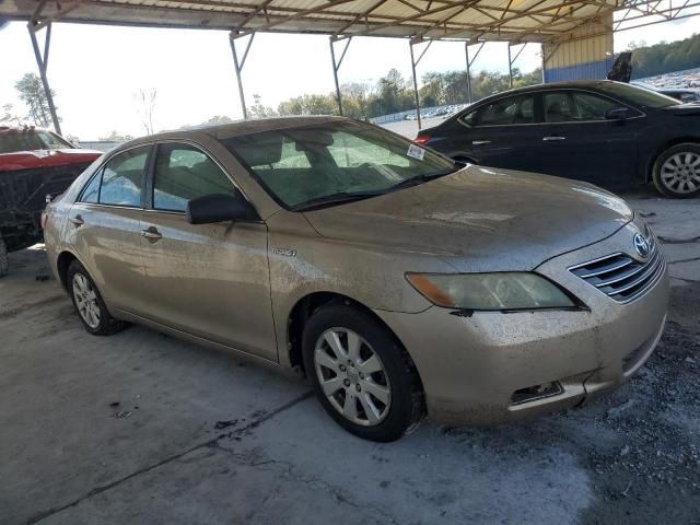 2007 Toyota Camry Hybrid