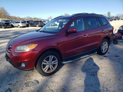 Hyundai Santa fe Vehiculos salvage en venta: 2010 Hyundai Santa FE Limited