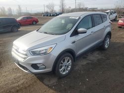 Salvage cars for sale at Montreal Est, QC auction: 2019 Ford Escape SE