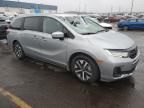 2025 Honda Odyssey EXL