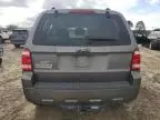 2009 Ford Escape XLS