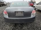 2010 Honda Accord LXP