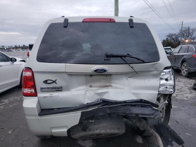 2009 Ford Escape XLT