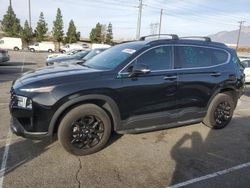 Salvage cars for sale at Rancho Cucamonga, CA auction: 2023 Hyundai Santa FE XRT