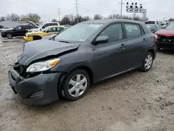 Salvage cars for sale at Columbus, OH auction: 2009 Toyota Corolla Matrix