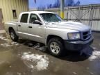 2008 Dodge Dakota SXT